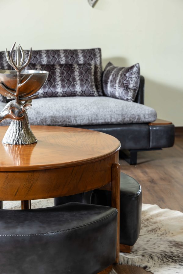 مبلمان راحتی تیسا پوست ماری - Image 7